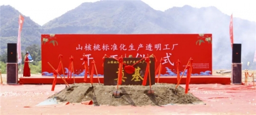 【一线投影】临安区年产10000吨山核桃标准化生产透明工厂项目开工！